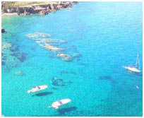 Veduta di Palmarola. Ponza Palmarola Zannone Ventotene Ischia Procida Capri vacanze a vela charter broker noleggio locazione affitto barche per pontine flegree.
