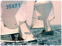 Regate a Ponza, Circeo, Ventotene, Gaeta, Fiumicino, Ostia, con Sail 2 Sail - vacanze a vela - Charter Broker